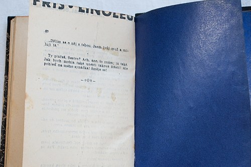 Bisnagarská princezna — foto 4