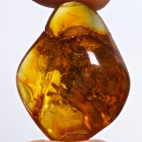 Jantar přírodní — foto 2