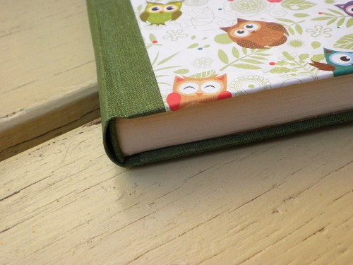 Sovy, budeme hlasovat! — foto 3