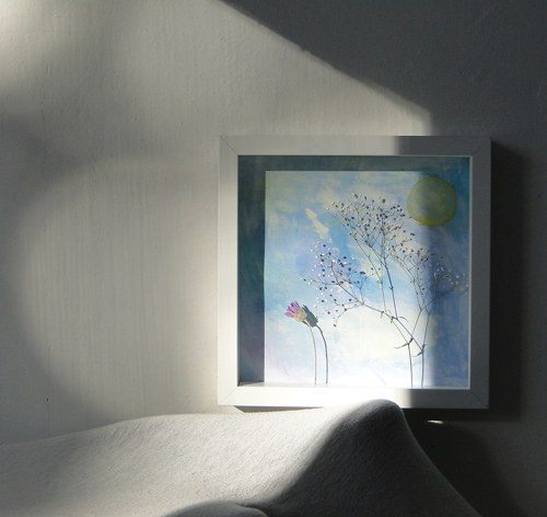 Letní rána — foto 4