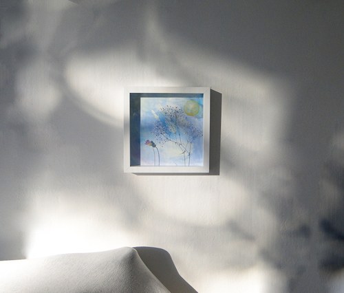 Letní rána — foto 3