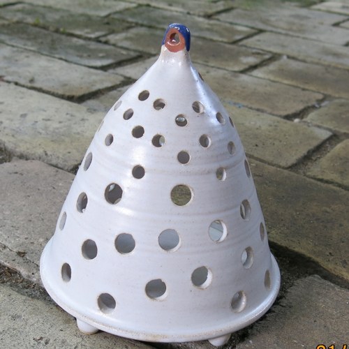 Světýlko špičaté — foto 2