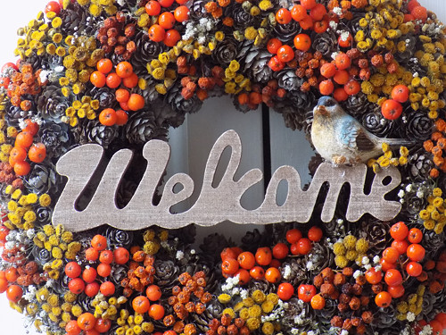 Welcome — foto 2