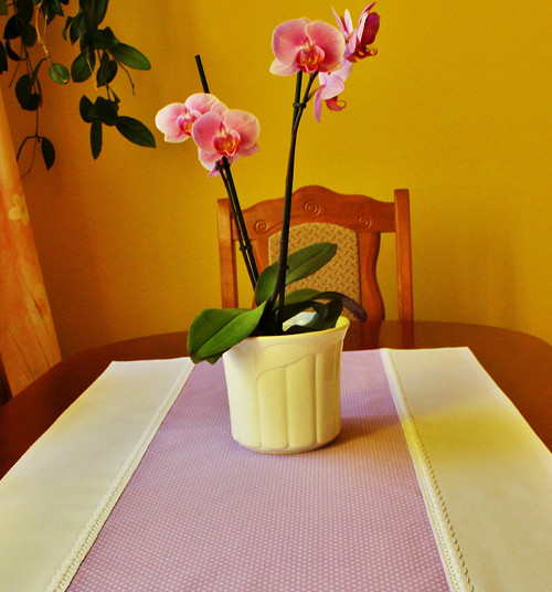 Běhoun fialovobílý - výprodej — foto 2