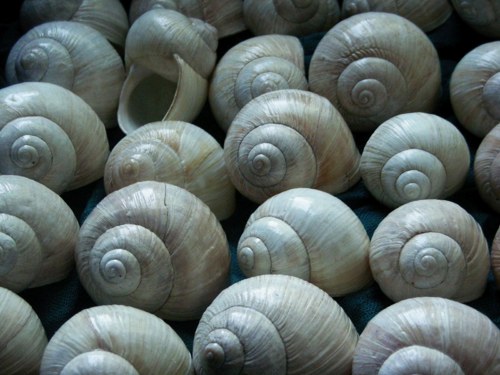 Ulity - alabastrové I. — foto 6