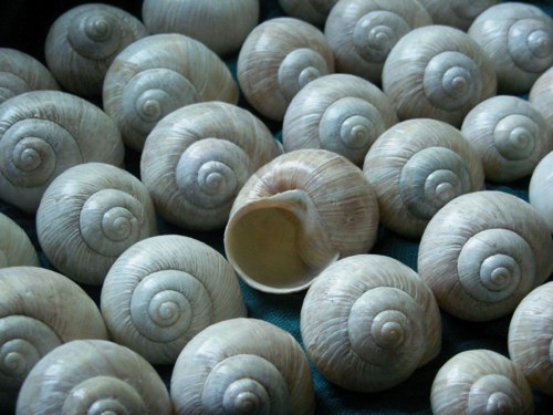 Ulity - alabastrové — foto 2