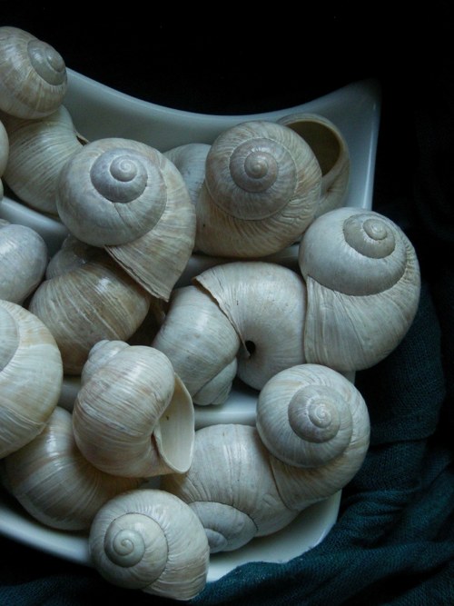 Ulity - alabastrové — foto 6