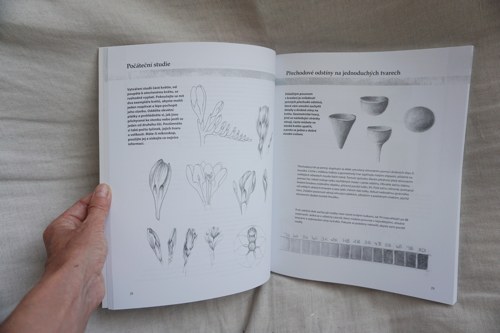Kreslíme květiny — foto 3