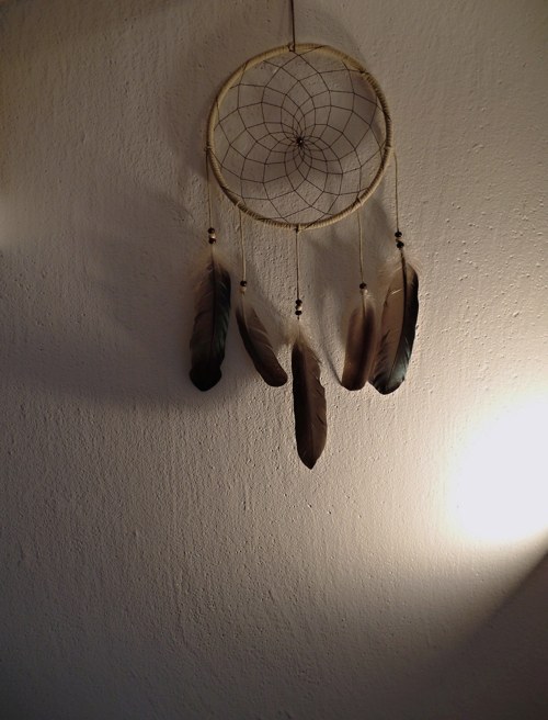 Hnědák — foto 4