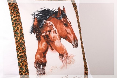 Polštáře - Klus A Cval - Mustang — foto 3