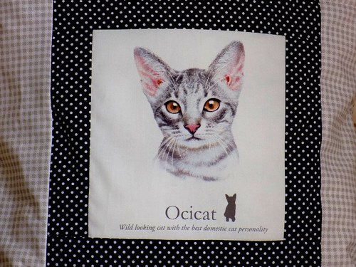 Polštářek s kočičkou (Ocicat) — foto 3