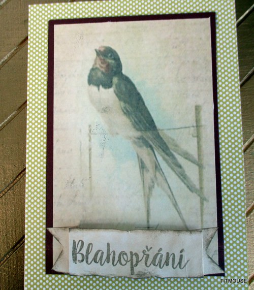 Loučení s létem — foto 3