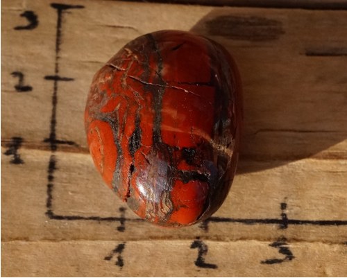 Tygří ruda D732 — foto 2
