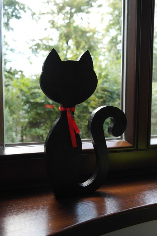 Kočička černá — foto 2