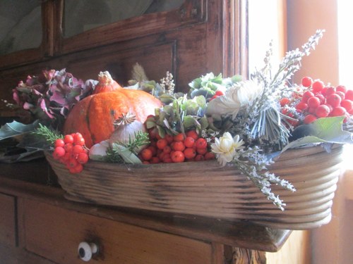 Podzimní ošatka — foto 6