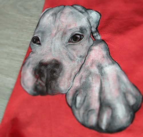 Boxerek Daisy....triko — foto 4