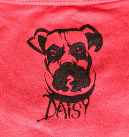 Boxerek Daisy....triko — foto 6