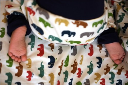 Sloní přeprava — foto 2