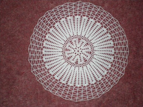 Bílá pavučinka — foto 3