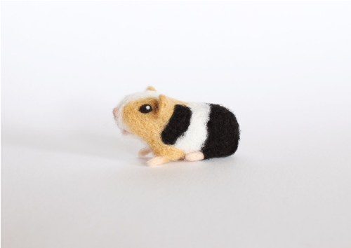 Mini morčátko 3 — foto 2