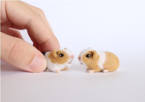 Mini morčátko 3 — foto 3