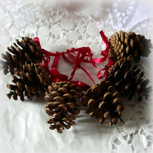 Vánoční šišky - přírodní — foto 2