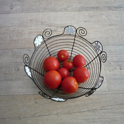 Miska bíle kvetoucí — foto 2