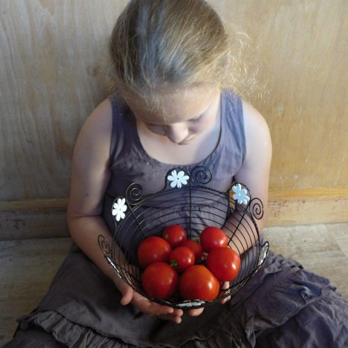 Miska bíle kvetoucí — foto 6