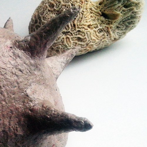 Fugu — foto 4