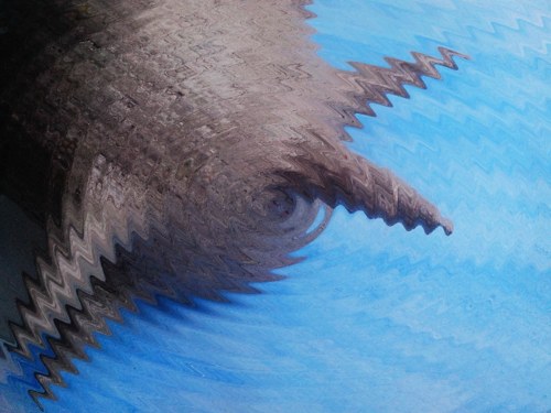 Fugu — foto 5