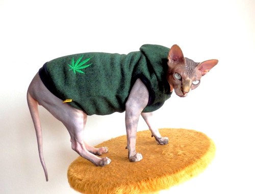 Svetr pro Sphynxí pohodáře:-)) — foto 2