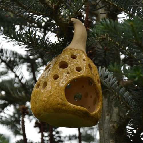 Odkdy rostou dýně na stromě? — foto 6