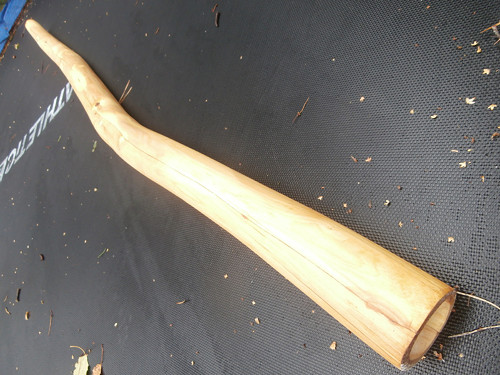 Didgeridoo - javor — foto 2