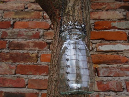 Recylucerna řetízková — foto 5