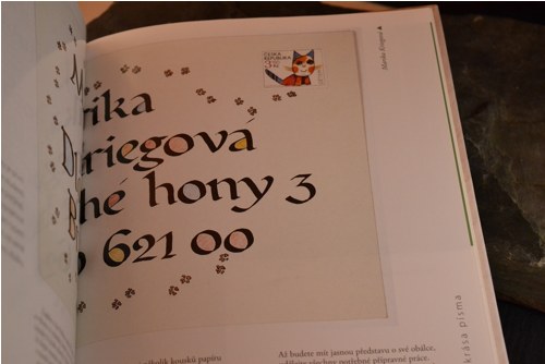 Kaligrafie - kniha — foto 2