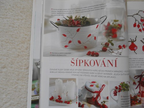 Časopis — foto 4