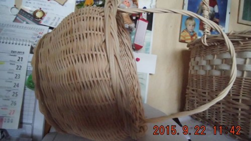 Malý houbovák — foto 2