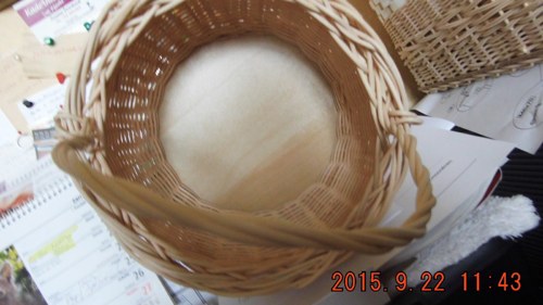 Malý houbovák — foto 3