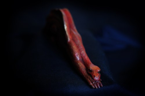 Drak Falco — foto 2
