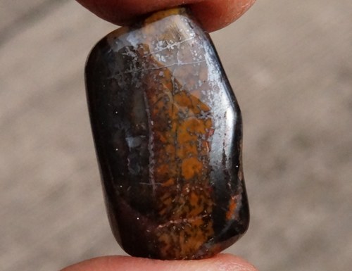 Tygří ruda D891 — foto 2