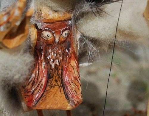 Sýčka Athene noctua — foto 4