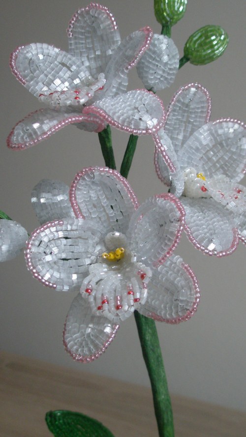 Bílá Orchidej 30 Cm — foto 2