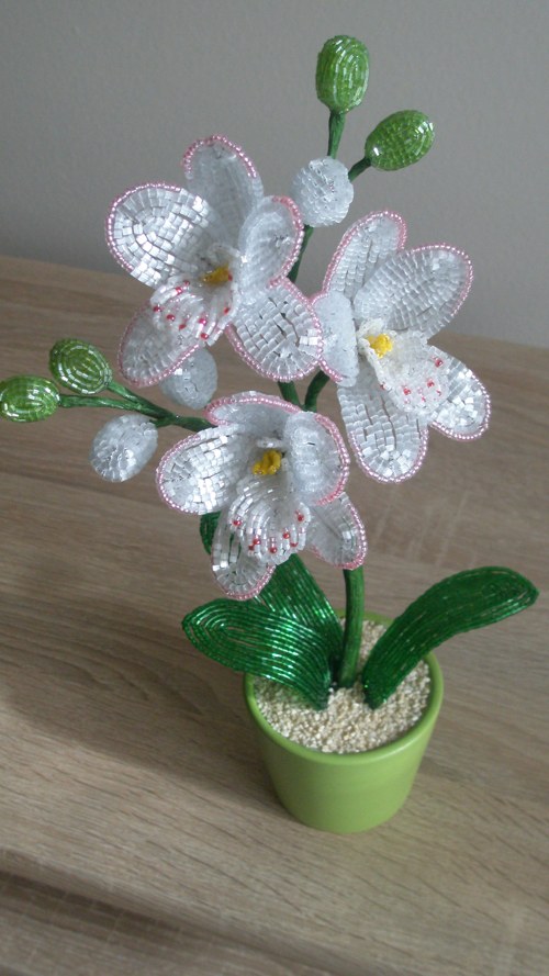 Bílá Orchidej 30 Cm — foto 4