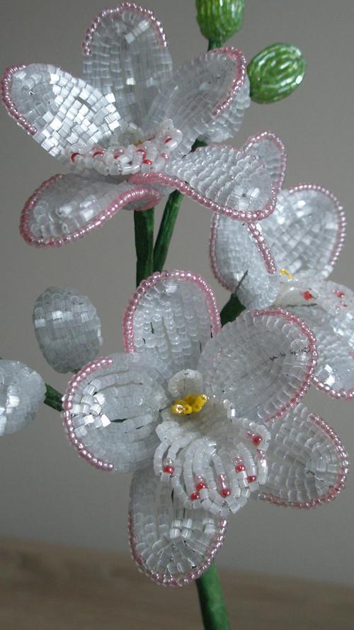 Bílá Orchidej 30 Cm — foto 5