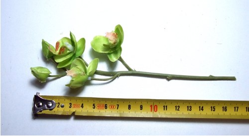 Orchidej zelená 18 cm — foto 2