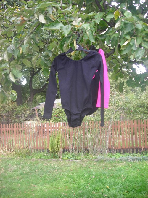 Dres — foto 2