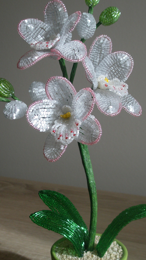 Bílá Orchidej 30 Cm — foto 6