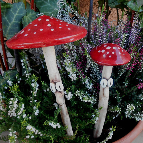 U nás rostou pořád ... :-) — foto 6