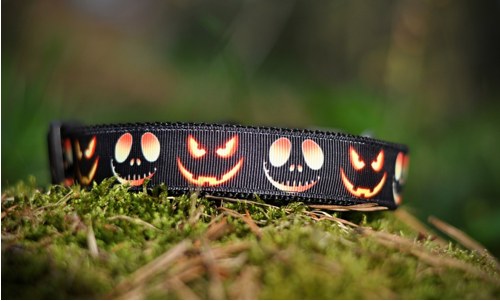 Obojek Halloween 30 - 45 cm — foto 2