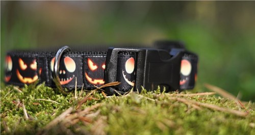 Obojek Halloween 30 - 45 cm — foto 3